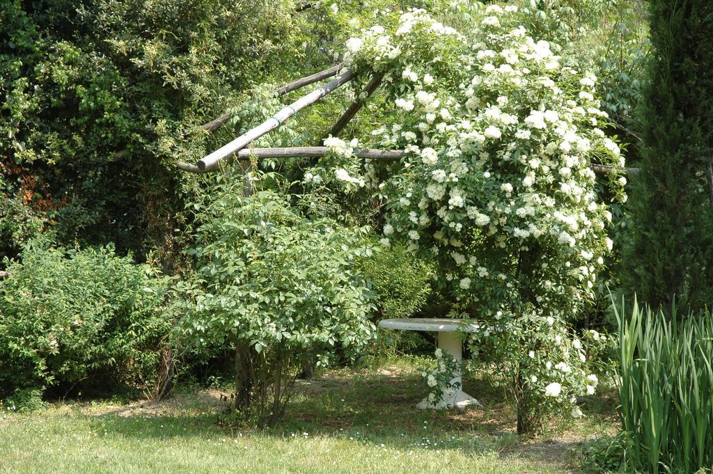 Appartamento Con Patio Privato E Giardino Tra Pisa E Firenze Palaia Exterior photo